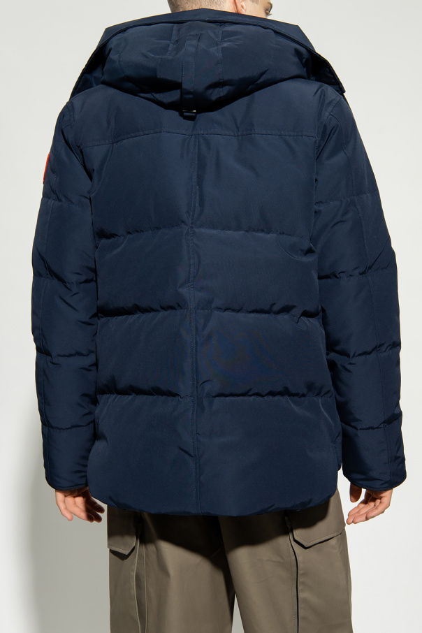 Canada goose 2025 macmillan admiral blue